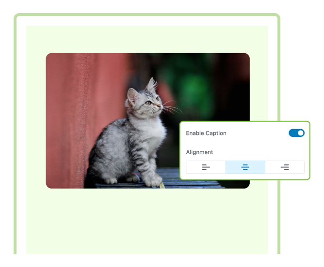 Image Captions and Descriptions